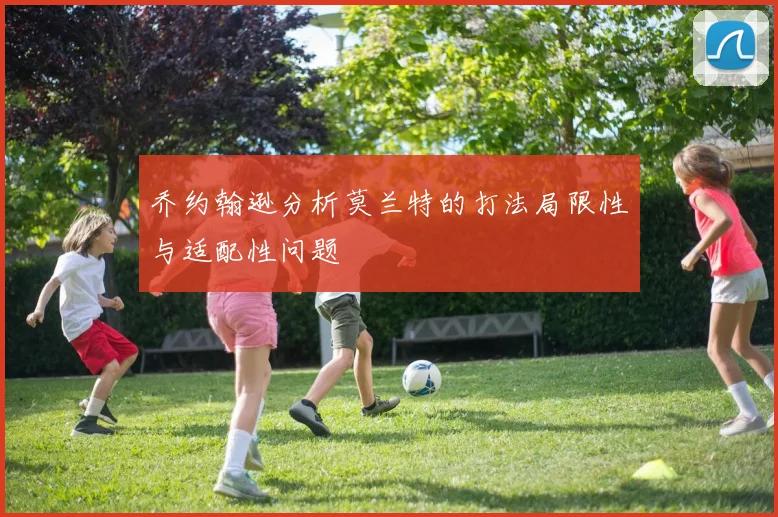 乔约翰逊分析莫兰特的打法局限性与适配性问题