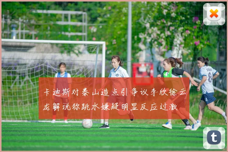 卡迪斯对泰山造点引争议李欣徐云龙解说称跳水嫌疑明显反应过激